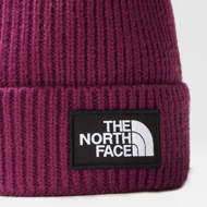 Berretto con risvolto e logo  box rosso fragola The North Face