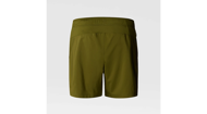 Picture of Men's 24/7 5'' Shorts Forest Black The North Face 