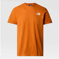 Picture of Men's Redbox Celebration T-Shirt Desert Rust The North face 