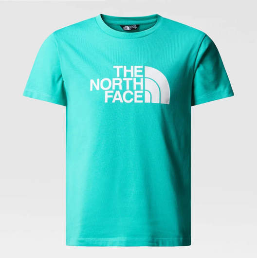 Immagine di T-Shirt Easy Celeste da Ragazzo The North face