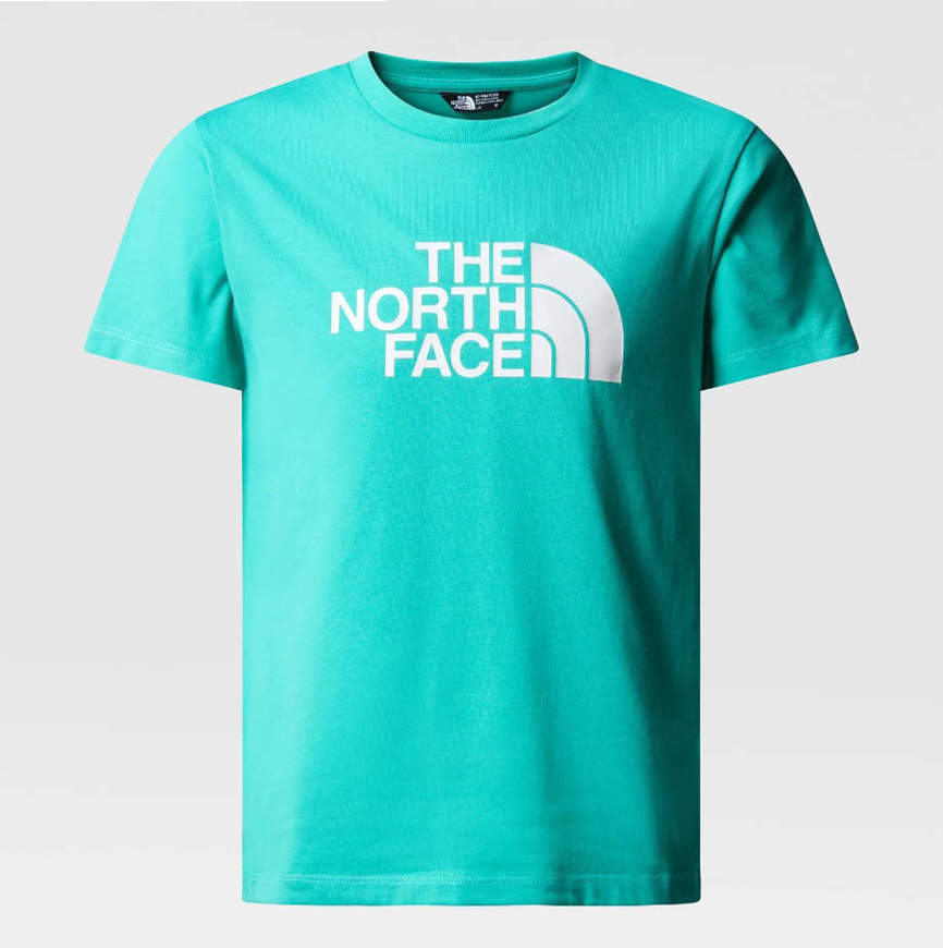 Picture of T-Shirt Easy Celeste da Ragazzo The North face