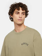 Picture of T-Shirt Panther Verde Militare da Uomo Dickies