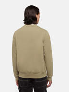 Picture of Felpa Oakport Verde da Uomo Dickies