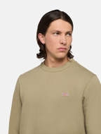 Picture of Felpa Oakport Verde da Uomo Dickies