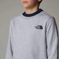 Picture of Felpa Redbox Grigia da Bambini The North Face