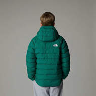 Picture of Giacca Perrito Reversibile Verde/Nera da Bambino The North Face