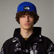 Picture of Logo Box Cuf Beanie Blue The North Face 