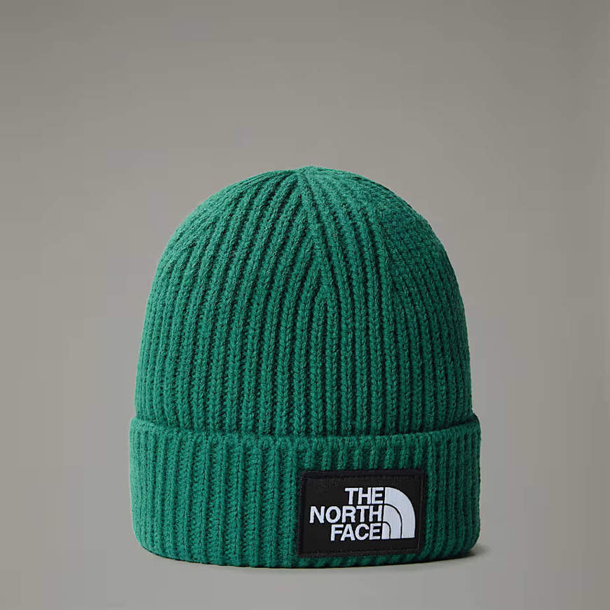 Picture of Berretto con Risvolto e Logo Box Verde The North Face