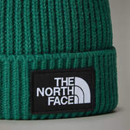 Picture of Berretto con Risvolto e Logo Box Verde The North Face