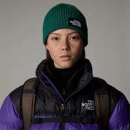 Picture of Berretto con Risvolto e Logo Box Verde The North Face