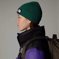 Picture of Berretto con Risvolto e Logo Box Verde The North Face