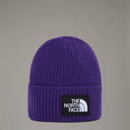 Picture of Logo Box Cuf Beanie Peak Purple The North Face 