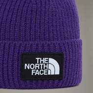 Picture of Logo Box Cuf Beanie Peak Purple The North Face 