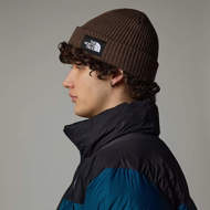 Picture of Berretto Salty Lined Marrone The North face