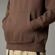 Picture of Felpa con Cappuccio Raglan Redbox Marrone da Uomo The North Face