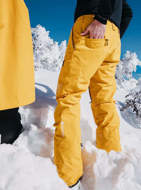 Picture of Men's [ak] Cyclic GORE‑TEX 2L Snowboard Pants Goldenrod Burton