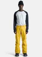 Picture of Men's Cargo 2L Pants Regular Goldenrod Burton